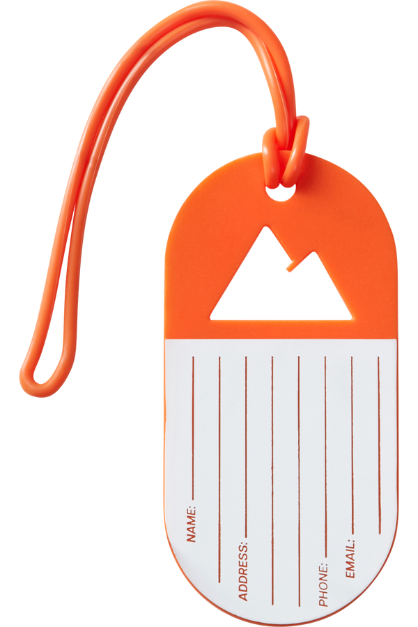 American Tourister American Tourist. Ta Luggage Tag X2 Fun  Adventure Is Calling