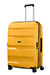 Bon Air Dlx Trolley mit 4 Rollen Erweiterbar 75cm